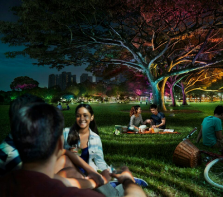 飛利(li)浦炤明髮佈2016年報(bao)，可持續髮展(zhan)業務銷售佔